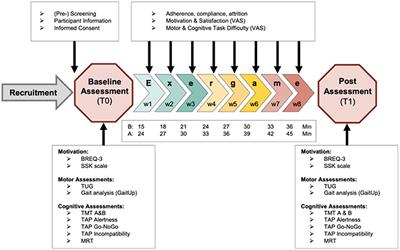 Personalized Motor-Cognitive Exergame Training in Chronic Stroke Patients—A Feasibility Study